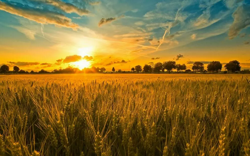 Міжнародна агропромислова виставка з переробки та зберігання сільськогосподарської продукції - Agrobiz.net